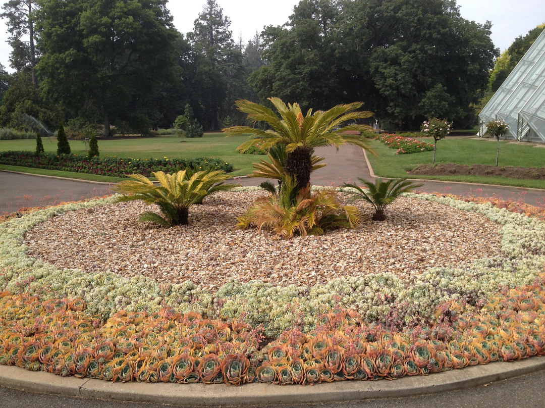 Ballarat Botanical Gardens-巴拉瑞特必去景点