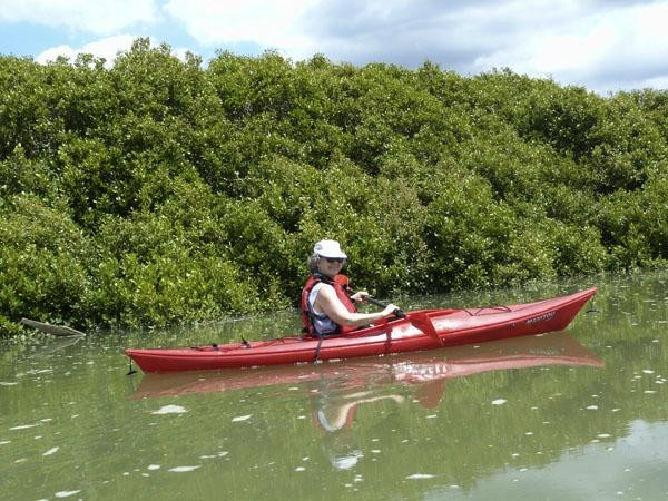 Slippery Creek Kayak Hire景点图片