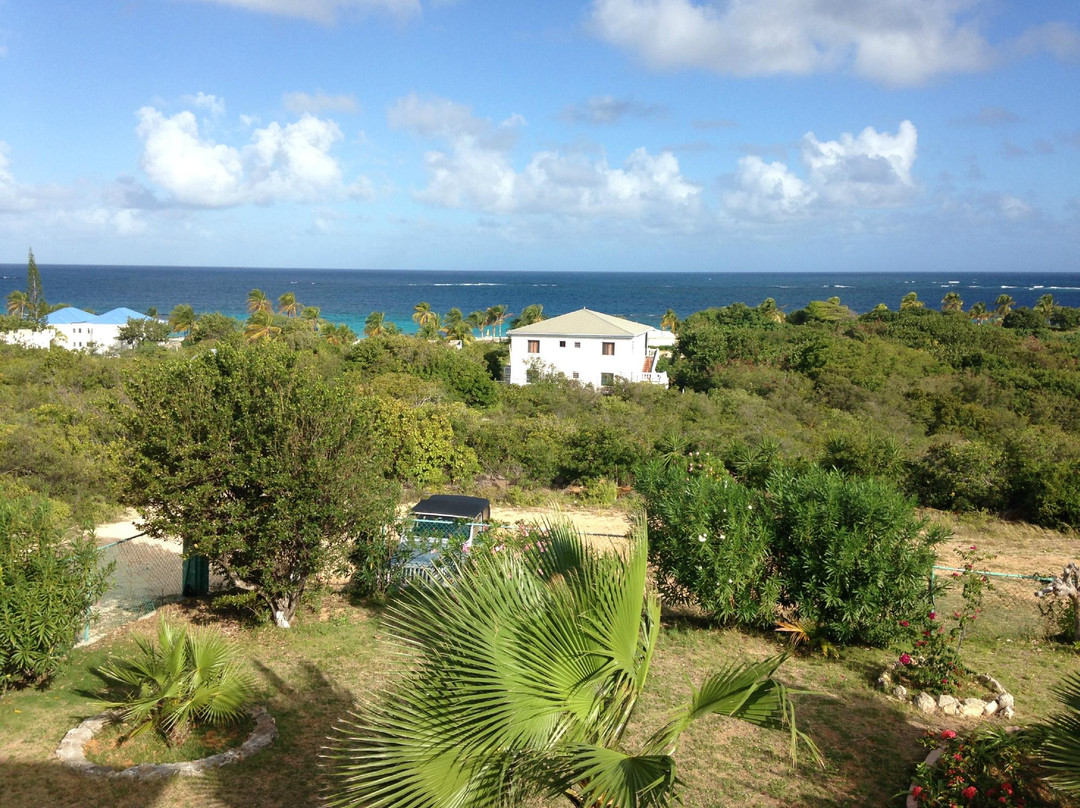 Shoal Bay Village酒店住宿-Milly's Inn Inc.