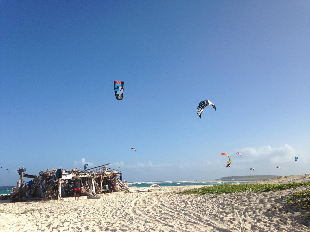 Pro Kite School Aruba-Santa Cruz必去景点