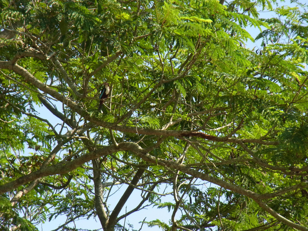 槟城高尔夫渡假村-Kepala Batas必去景点