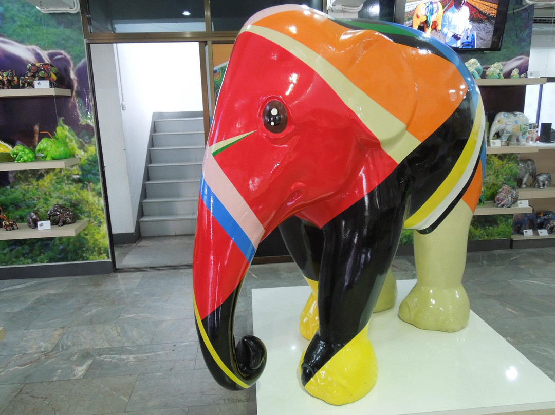 大象巡游之家 (给德店)-清迈必去景点