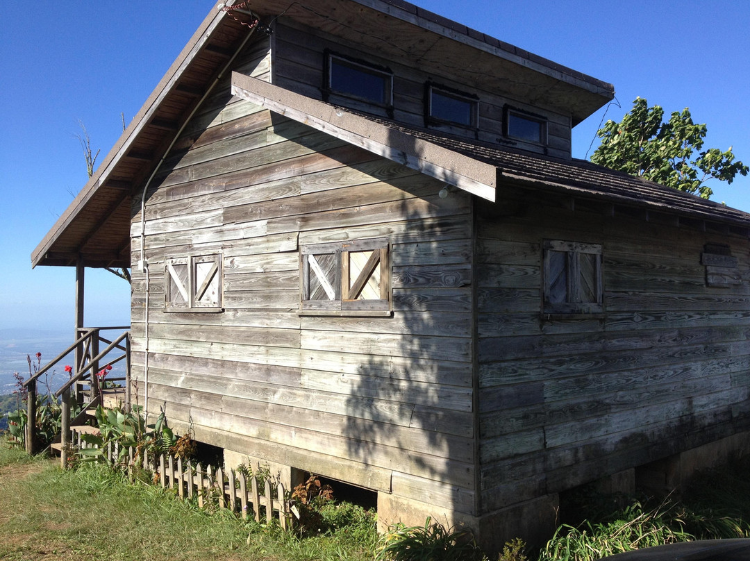 Holywell Park-金斯敦必去景点