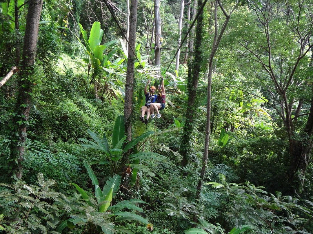 丛林飞梭-卡图必去景点