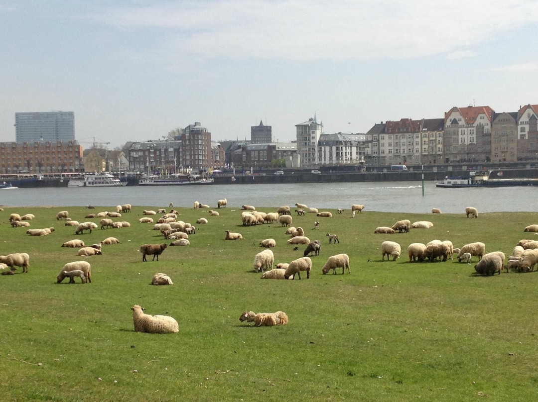 Dusseldorf-Oberkassel-杜塞尔多夫必去景点