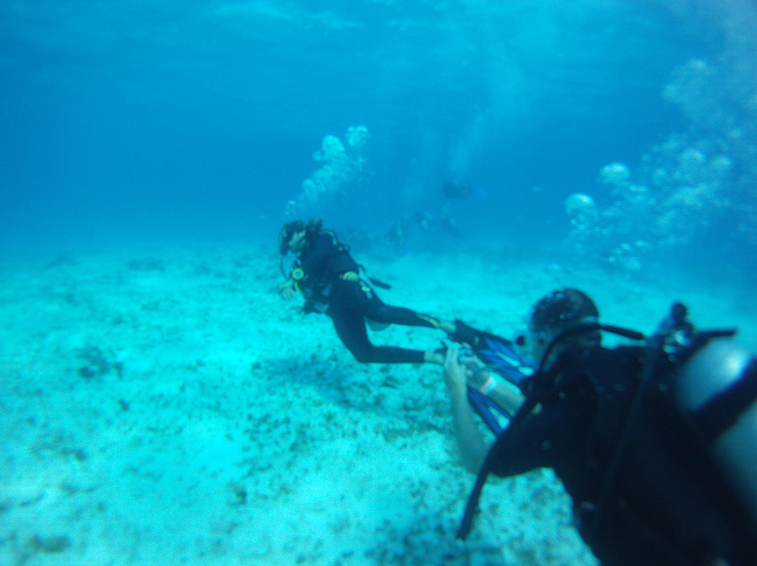 Travel Ahead Cancun - Passeios Diarios-普拉亚德尔卡曼必去景点