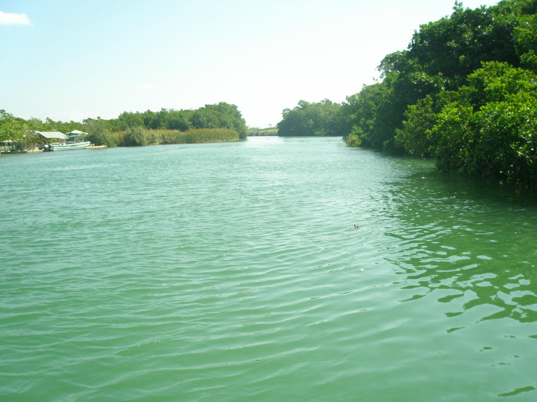 Black River-Black River必去景点