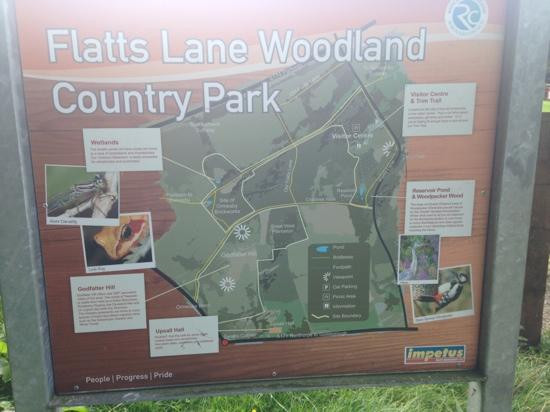 Flatts Lane Woodland Country Park-米德尔斯堡必去景点