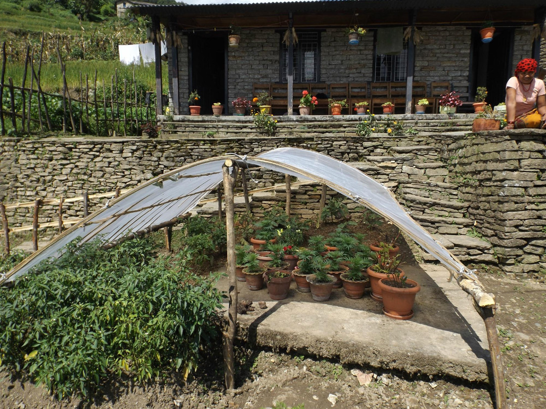 Hotel Gurung Cottage