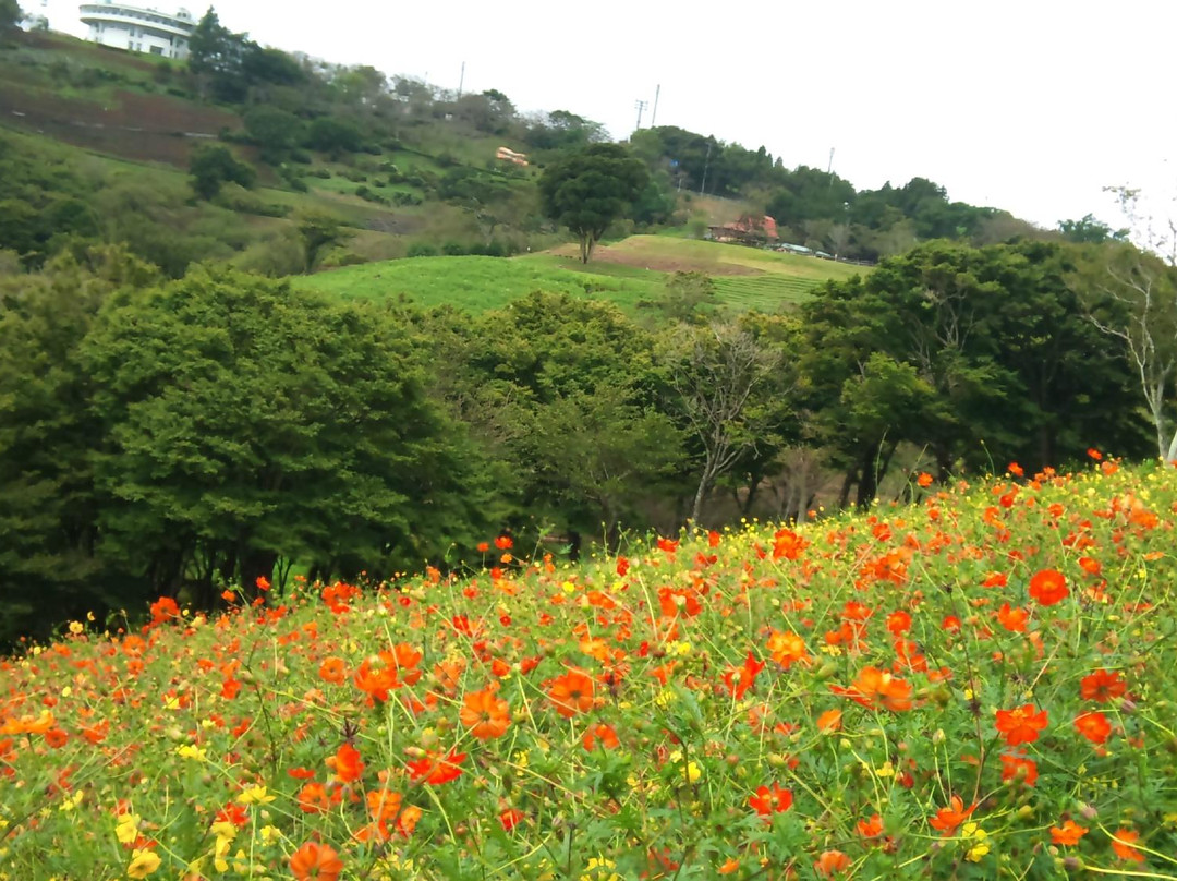千叶妈妈牧场-富津市必去景点