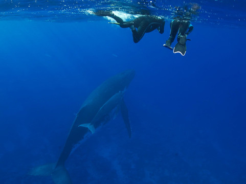 Rurutu Reefs-Rurutu必去景点