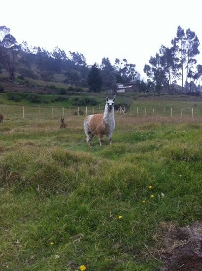 El Tambo-Canar必去景点