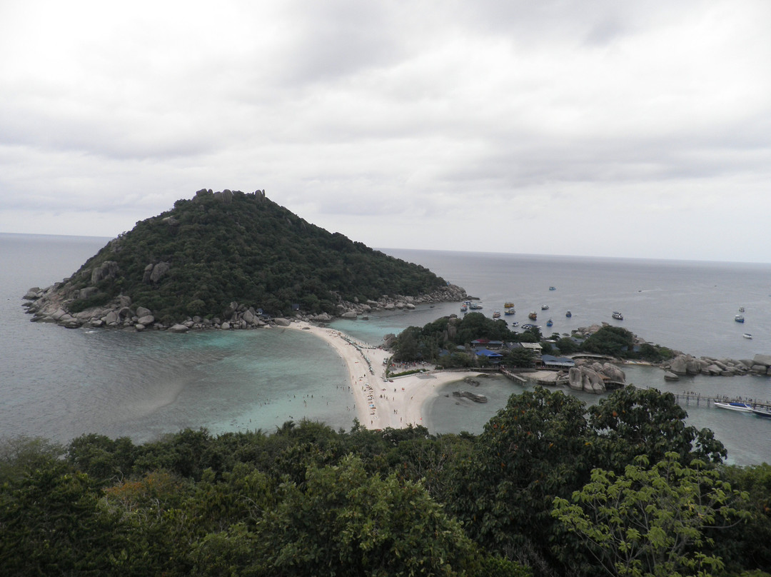 南园岛-涛岛必去景点