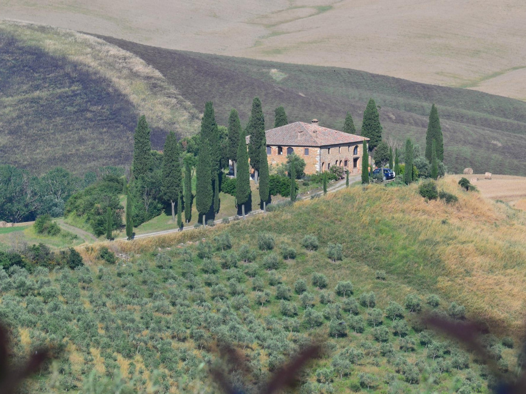 Tuscany Car Tours-佛罗伦萨必去景点
