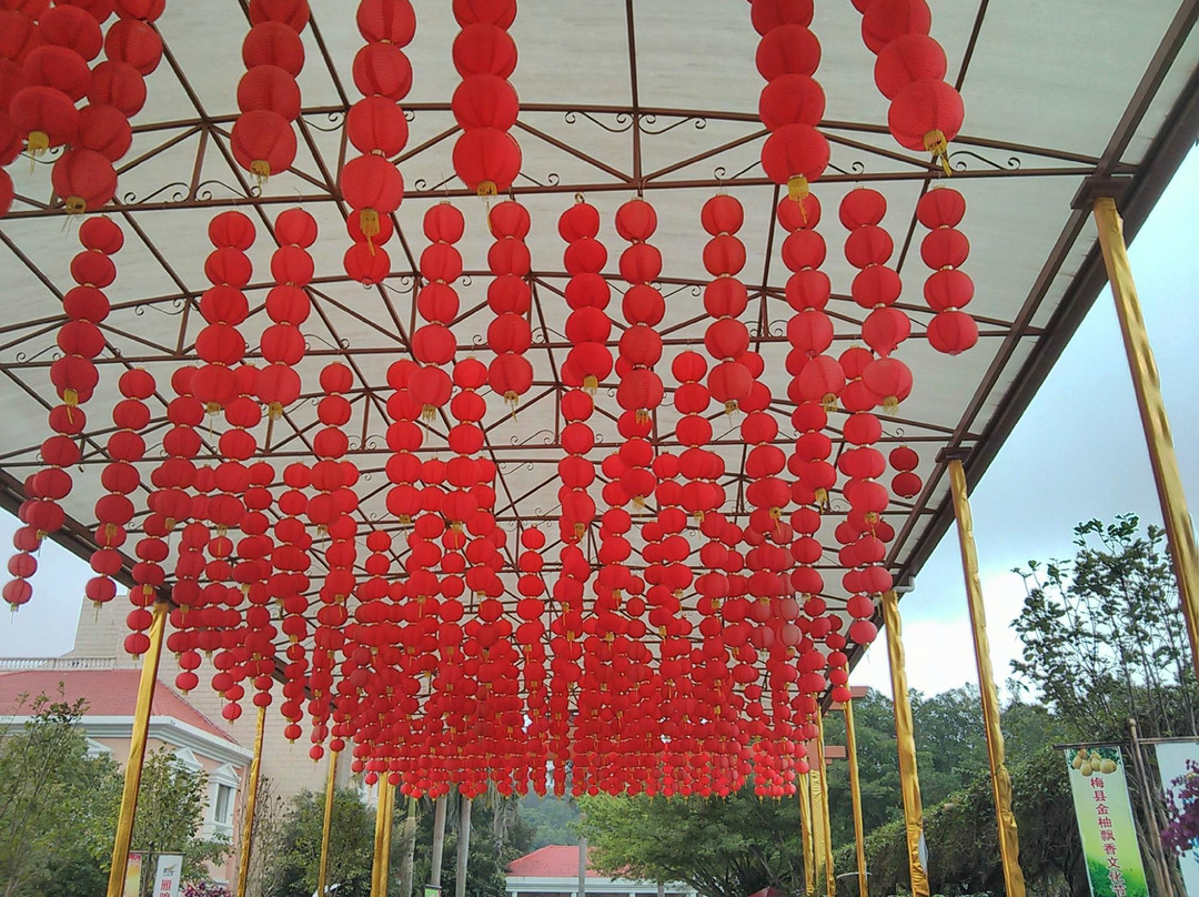 雁南飞茶田-梅州市必去景点