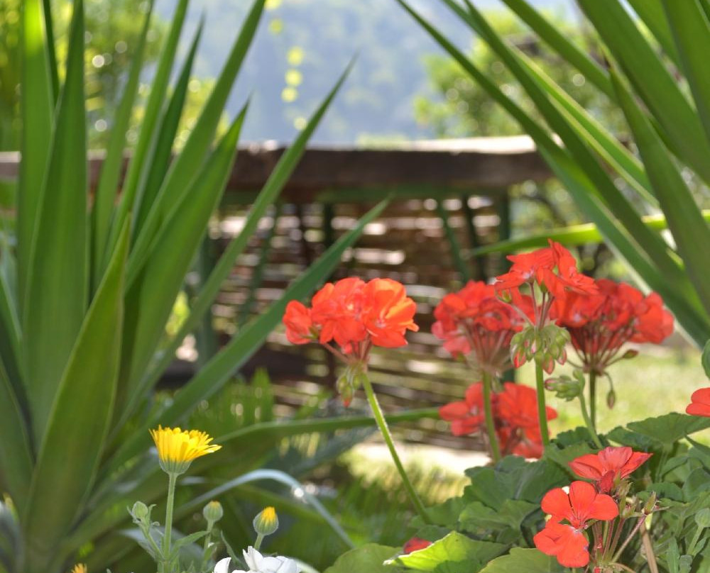 Agriturismo La Vecchia主图