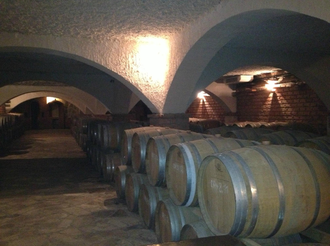 Dubrovnik Wine Tours景点图片