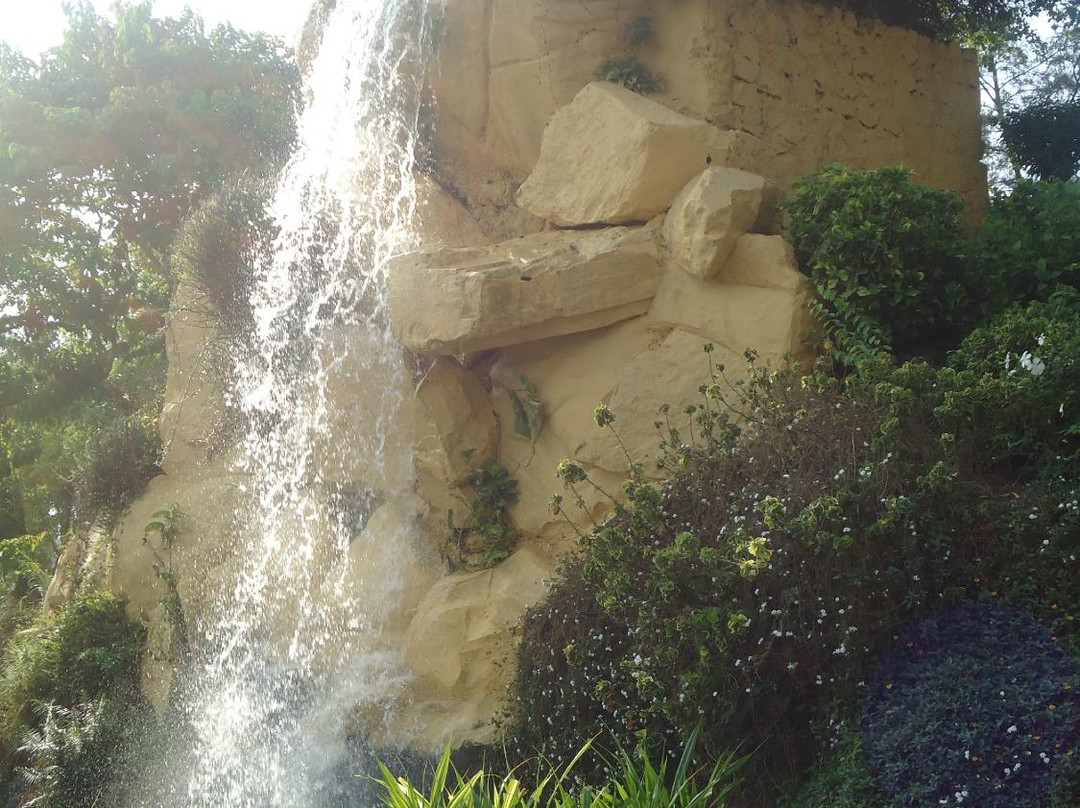 Hirwa Van Gardens-锡尔瓦萨必去景点