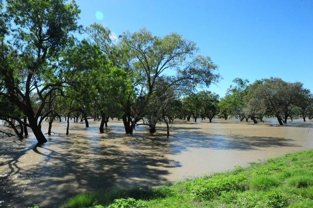 The Barwon Inn主图