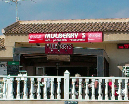 Mulberry's