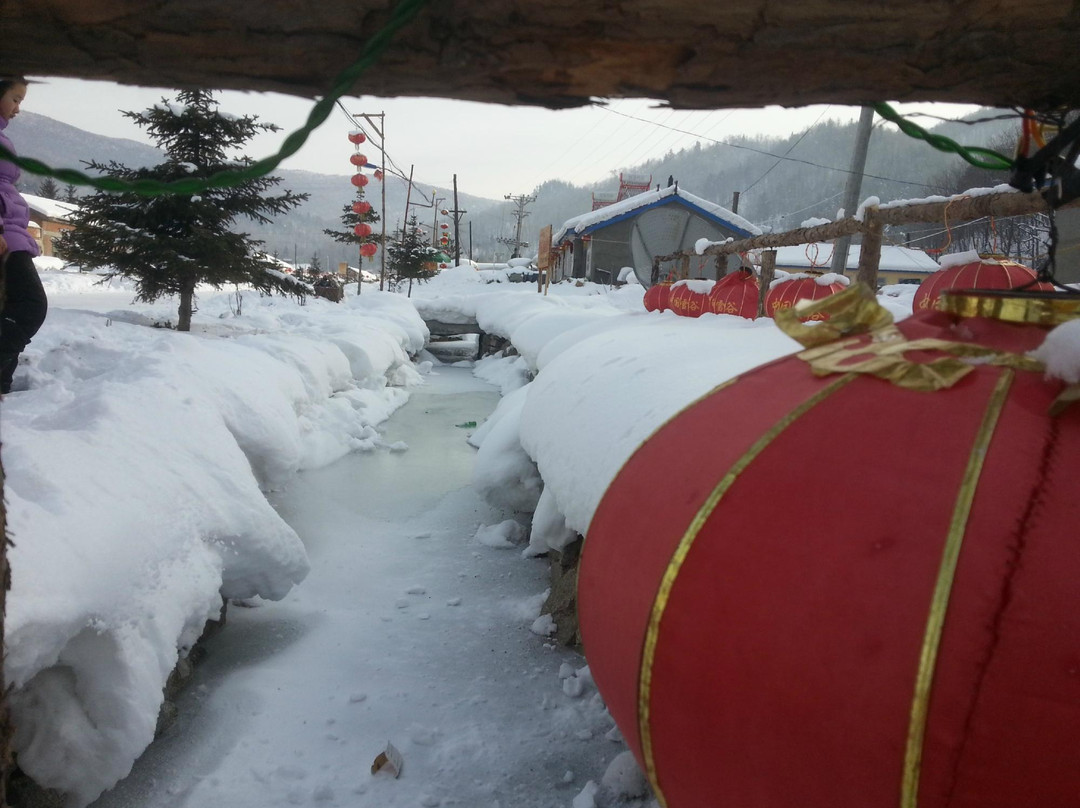 双峰林场-海林市必去景点