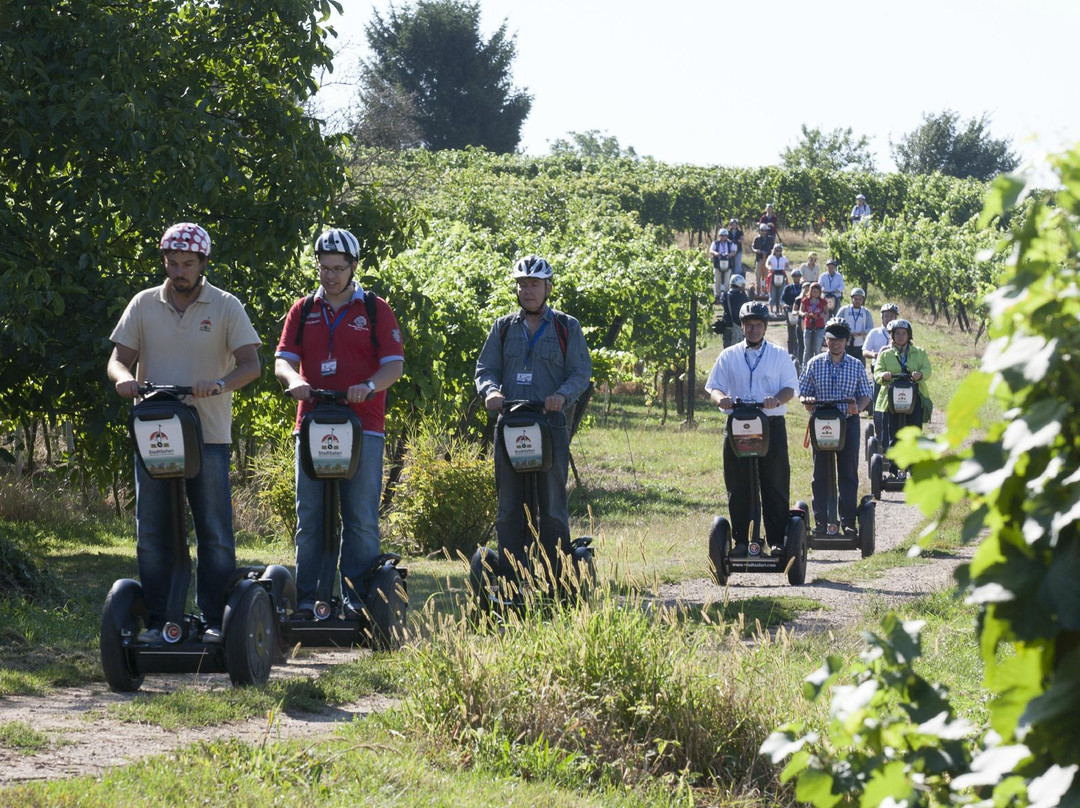 StadtSafari Segway Tours Heidelberg-海德尔堡必去景点