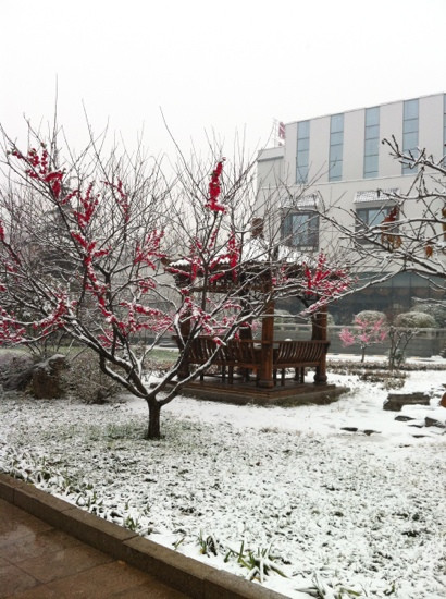 邮电会议中心主图