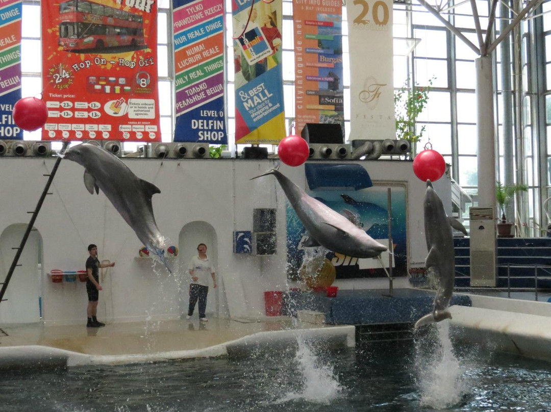 Dolphinarium-瓦尔纳必去景点