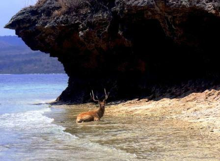 孟赞干岛-佩母德兰必去景点