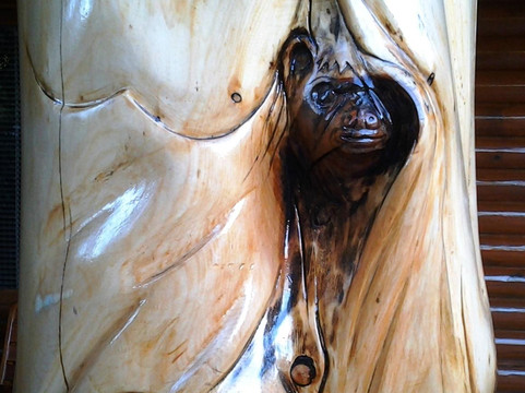 Knysna Log-inn Hotel