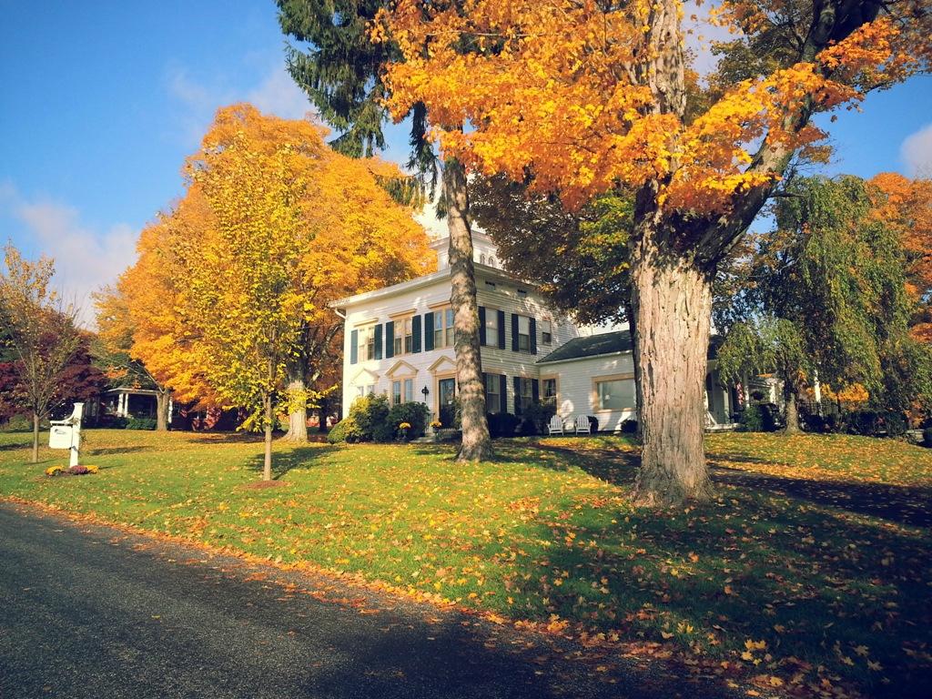 The Sachem Farmhouse Bed & Breakfast-客卧