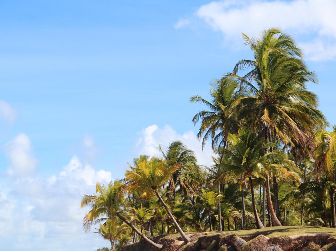 Praia Taipu de Fora-Marau必去景点