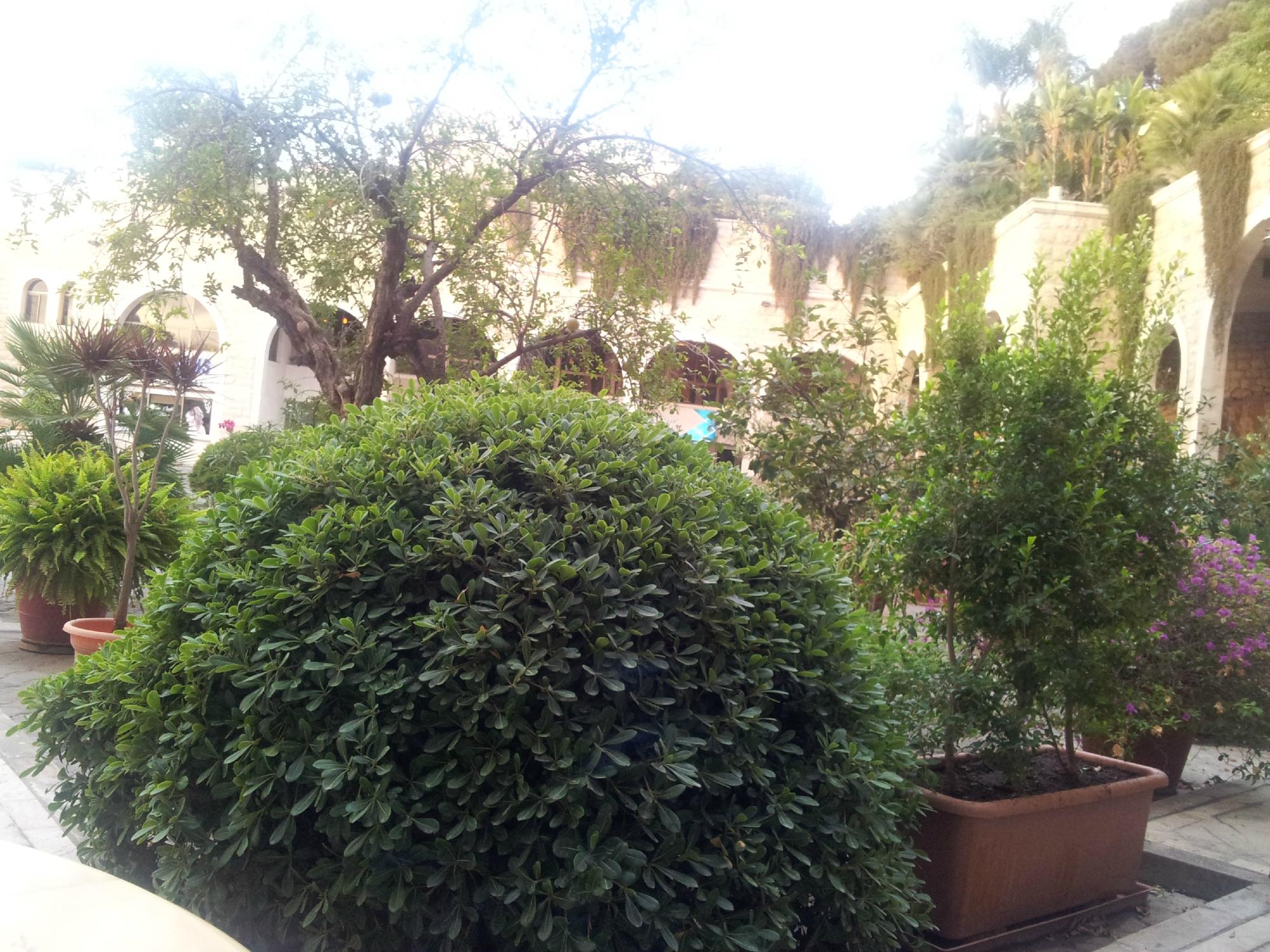 Rabieh Guest House-浴室