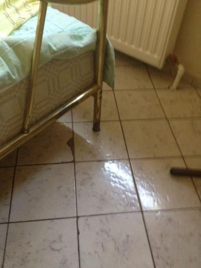 帕罗塔城宾馆主图