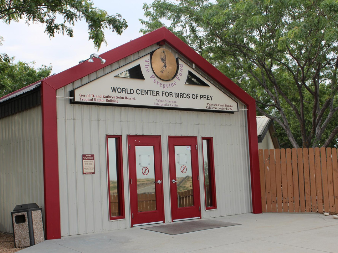 World Center For Birds of Prey-博伊西必去景点