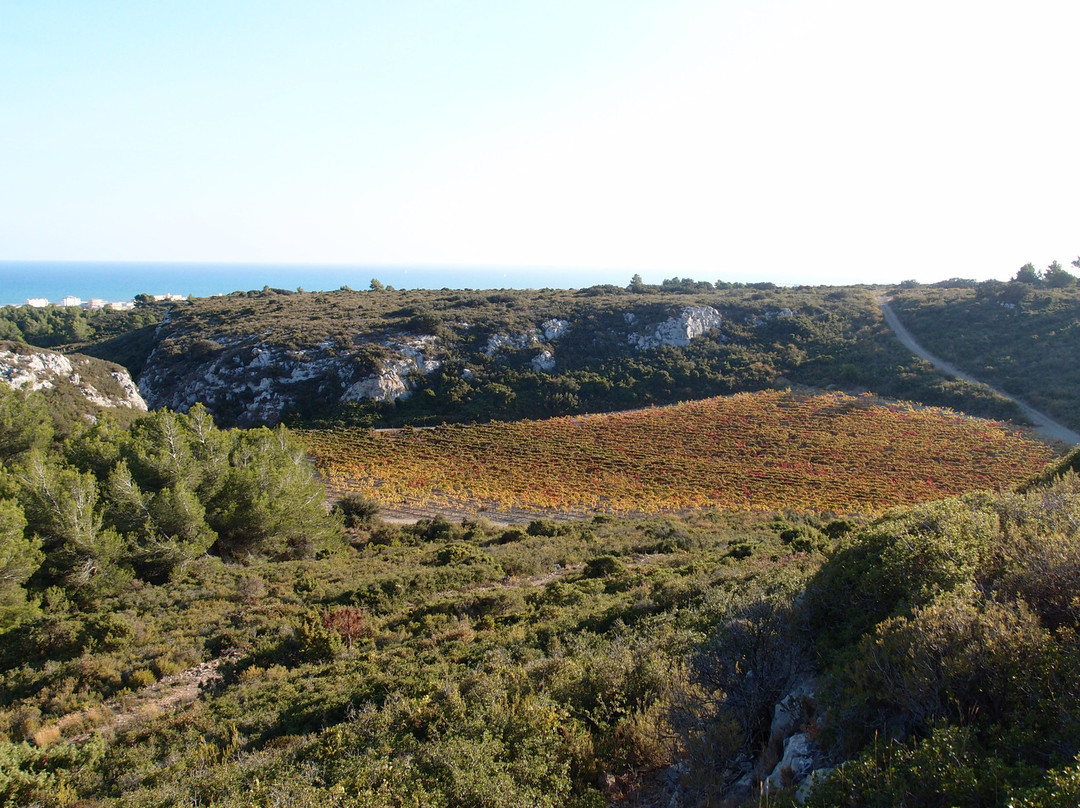 Chateau des Karantes景点图片