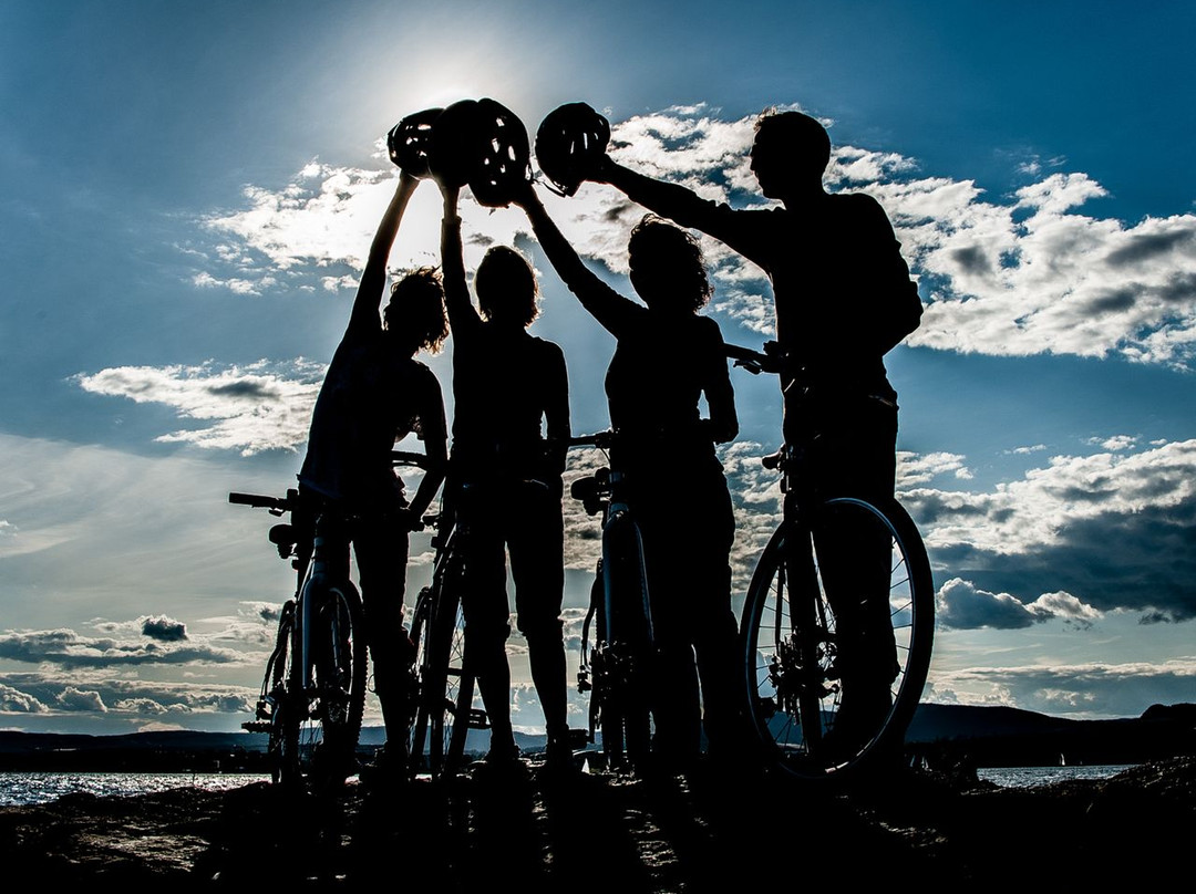 Viking Biking & Hiking AS-奥斯陆必去景点