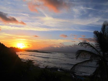 Dread or Dead Surf Shop-Hastings必去景点
