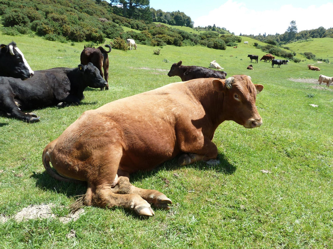儿童游乐园-罗托鲁瓦必去景点