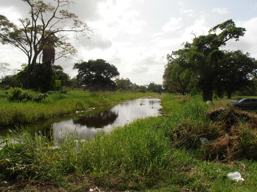 Guyana Botanical Gardens景点图片