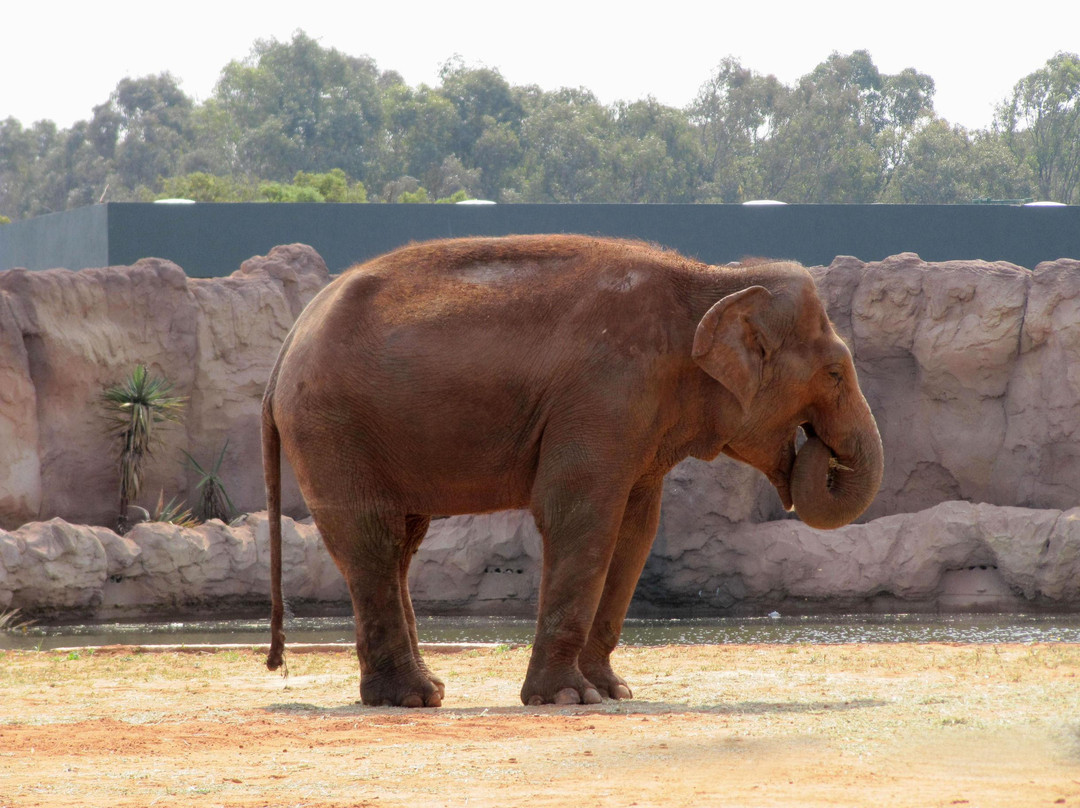 Jardin Zoologique de Rabat-拉巴特必去景点