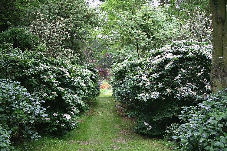 Beech Court Gardens景点图片