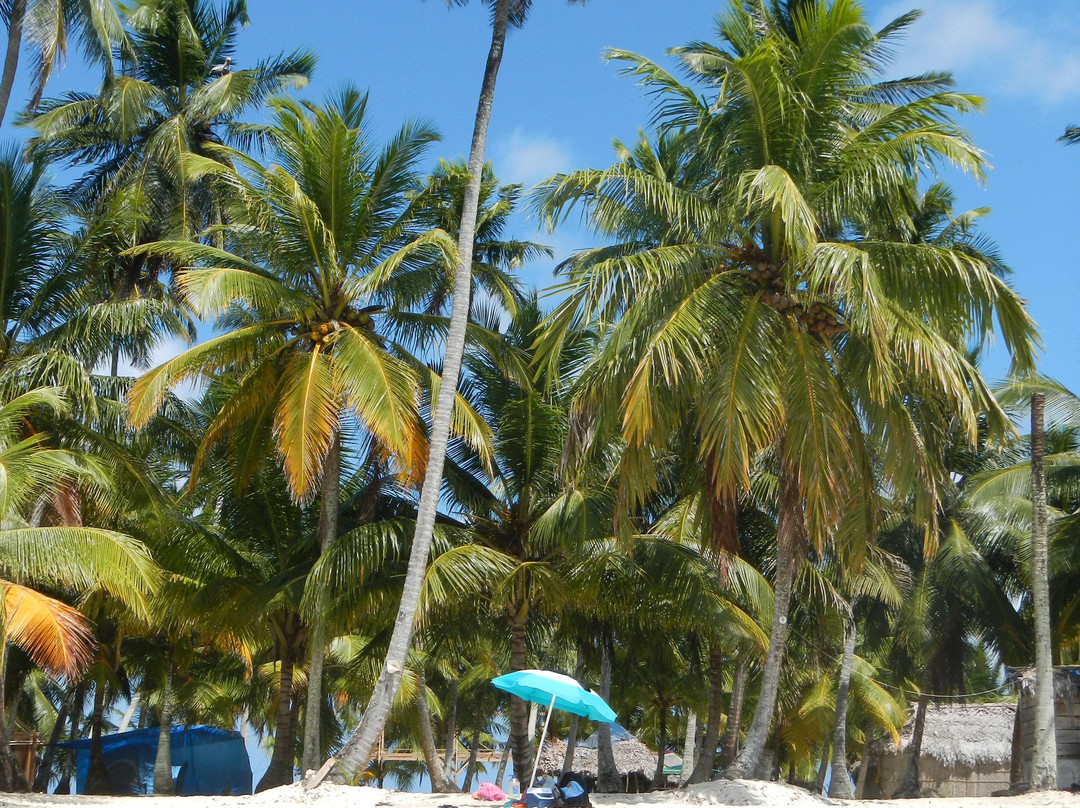 San Blas Islands景点图片
