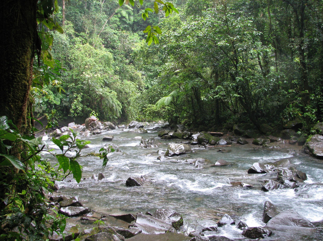 La Fortuna Waterfall景点图片