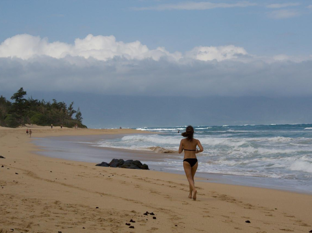 HA Baldwin Beach Park-芭雅必去景点