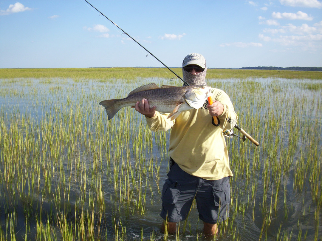 Coffee Bluff Marina-萨凡纳必去景点