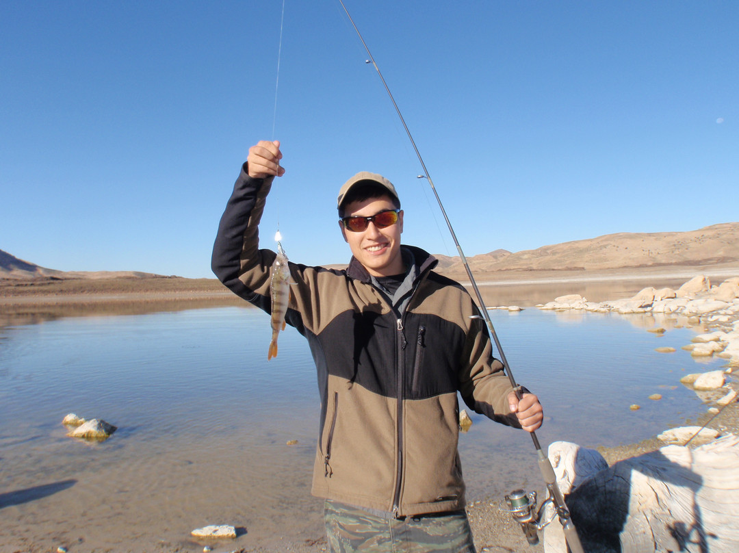 Morocco Unexplored - Private Day Tours-Azrou必去景点