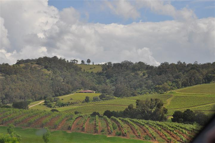 Hunter Valley景点图片