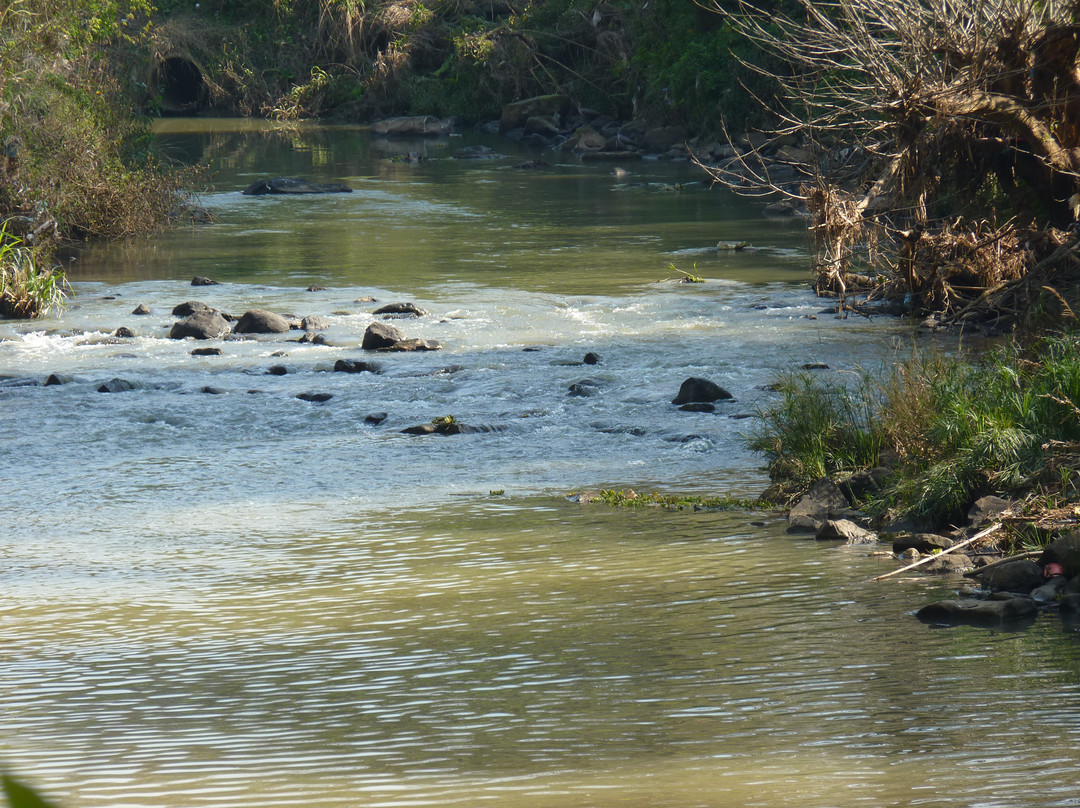 Alexandra Park-彼得马里茨堡必去景点