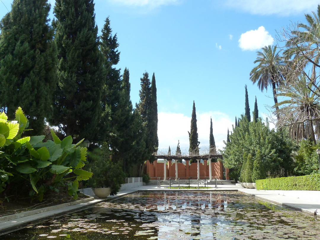 Jardin Botanico Historico La Concepcion景点图片